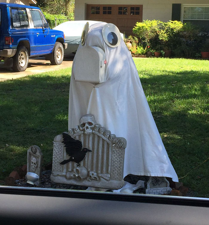 neighbor dresses up manatee mailbox