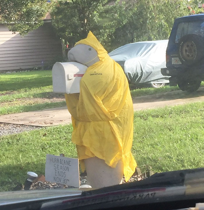 neighbor dresses up manatee mailbox