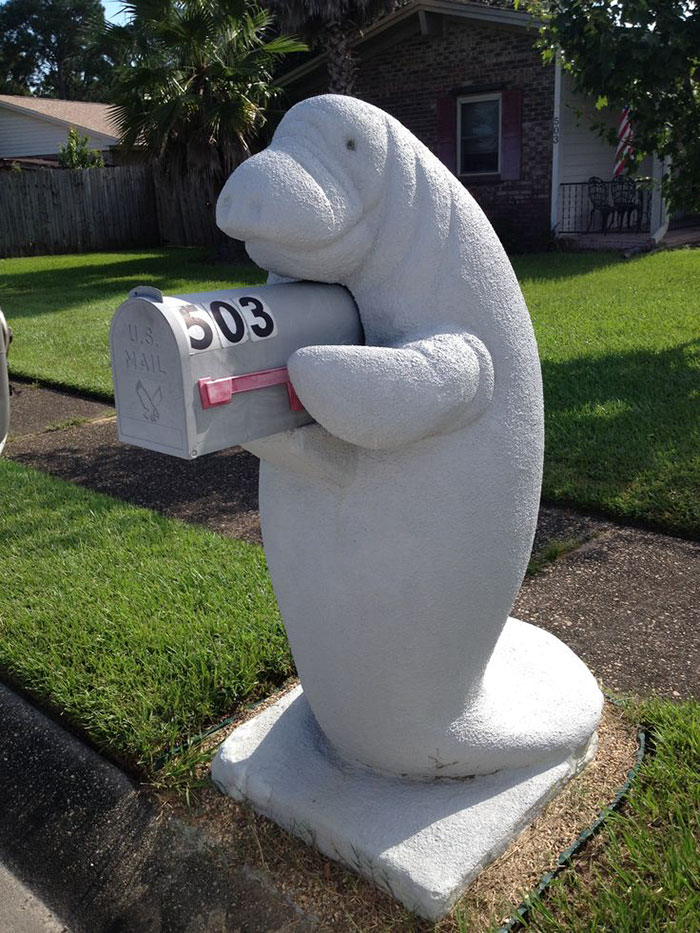 neighbor dresses up manatee mailbox