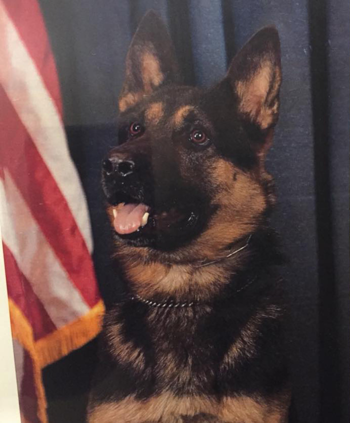 K9 Booker retirement