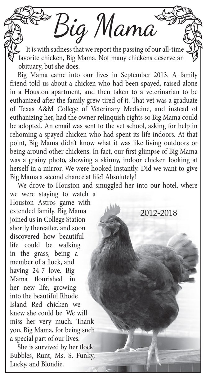 big mama chicken obituary