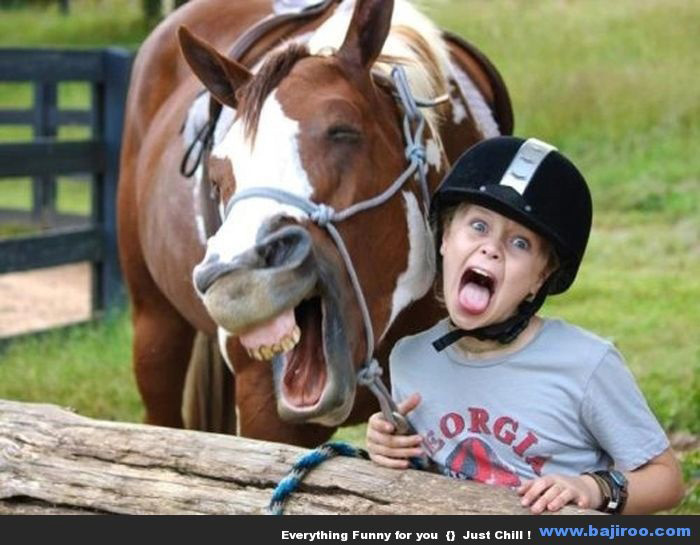 horses make facial expressions like humans