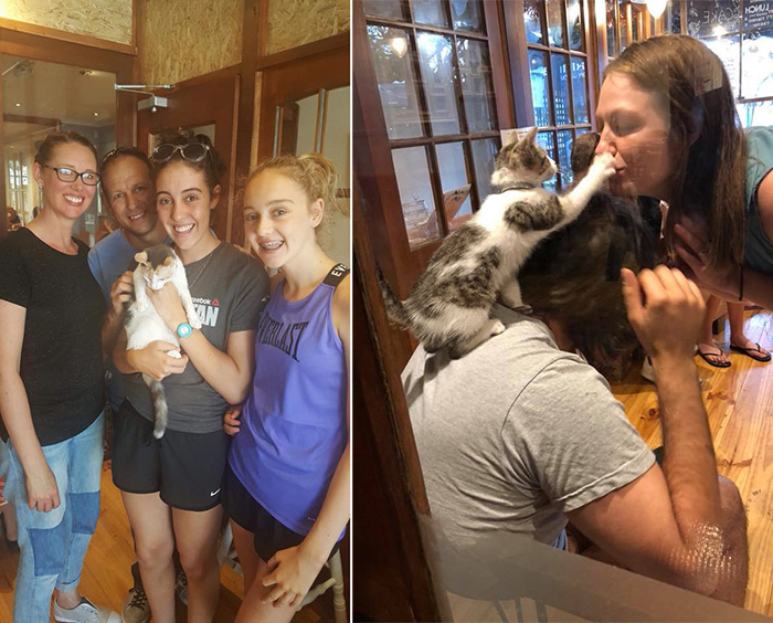 More Than 80 Cats Adopted From Cafe Where Diners Can Play More Than 80 Cats Adopted From Cafe Where Diners Can Play