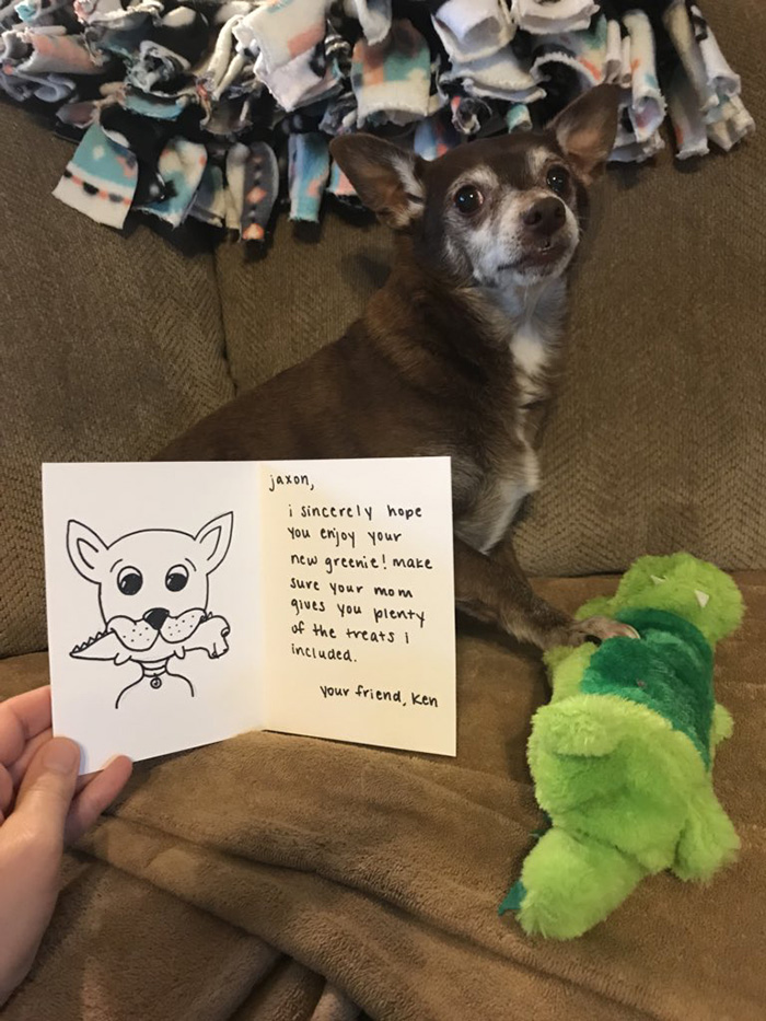 petsmart employee finds discontinued dog toy