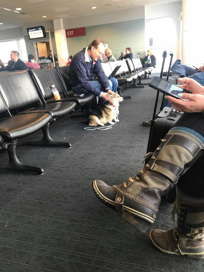 service dog comforts stranger