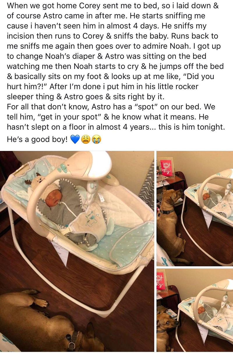 dog sleeps next to baby no floor