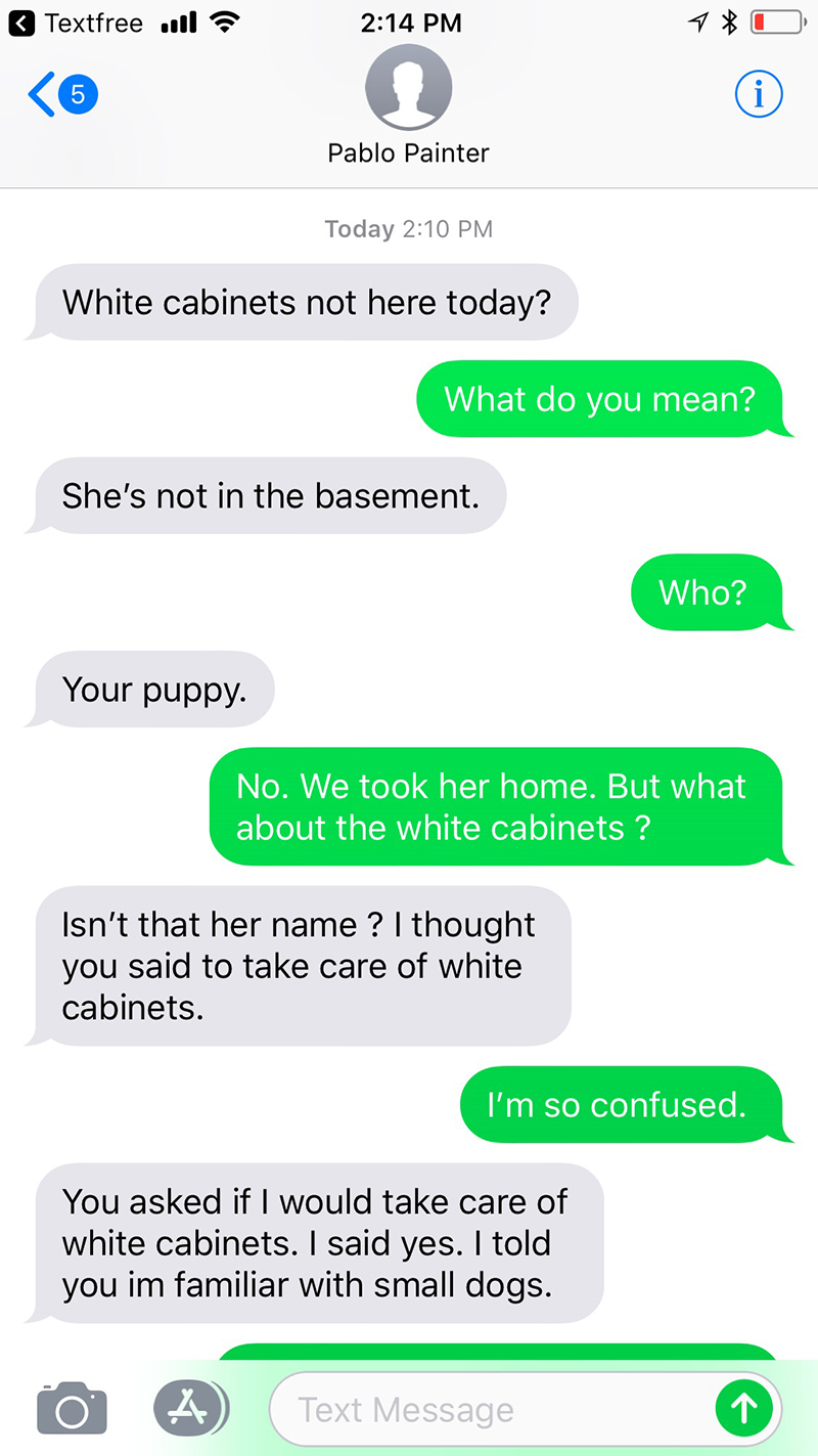 painter thinks dog name is white cabinets