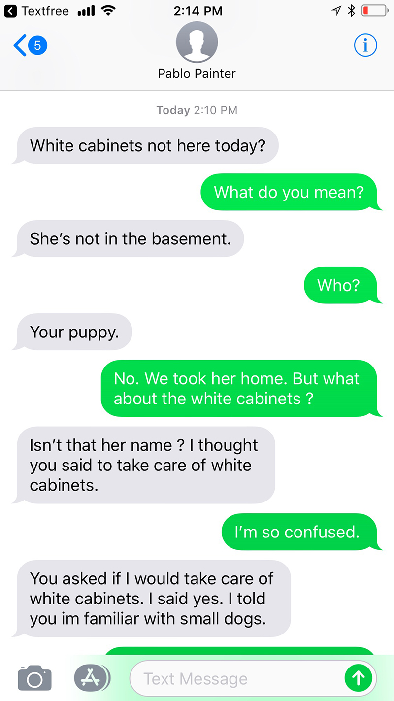 painter thinks dog name is white cabinets