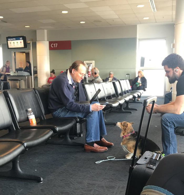 service dog comforts stranger