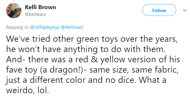 petsmart employee finds discontinued dog toy