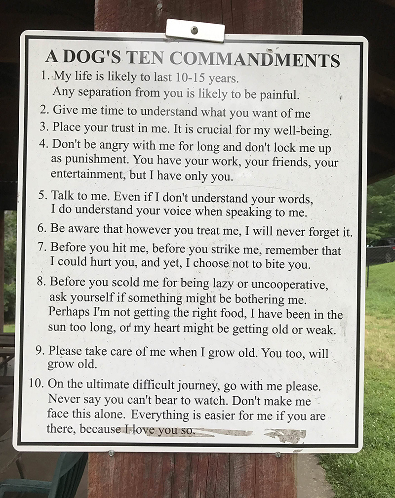 dog 10 commandments