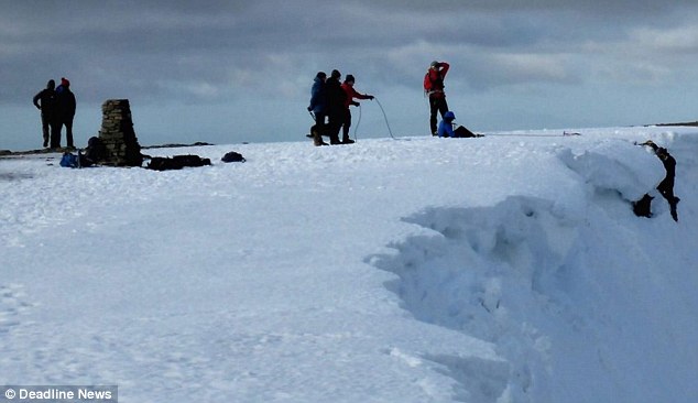 hikers find missing dogs in mountain