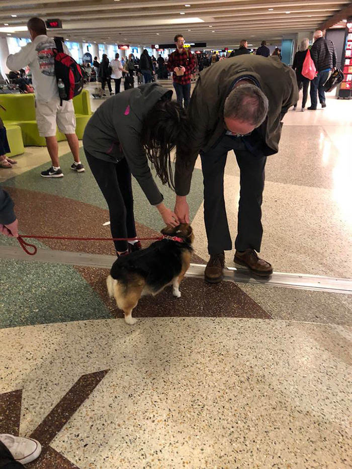 dog comforts stranger at airport