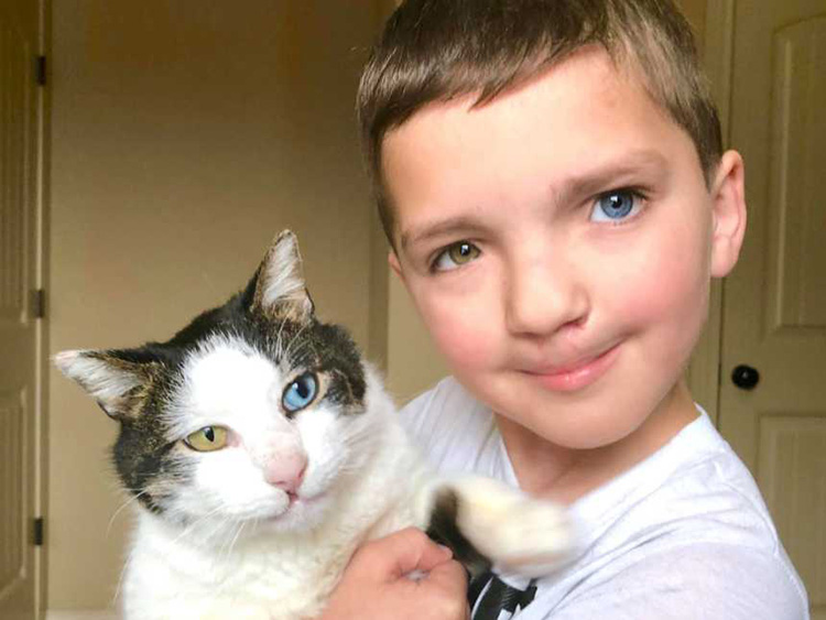 cat and boy with rare eyes cleft lip