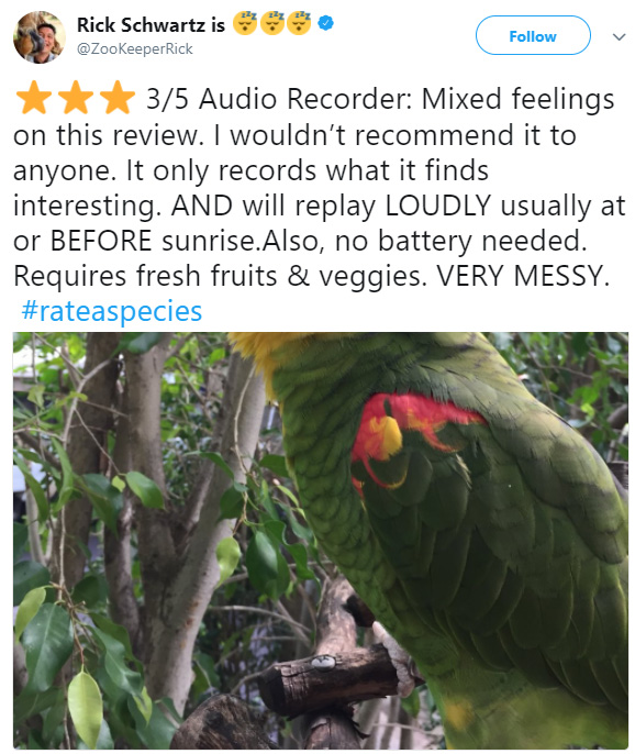 rate a species amazon funny reviews animals