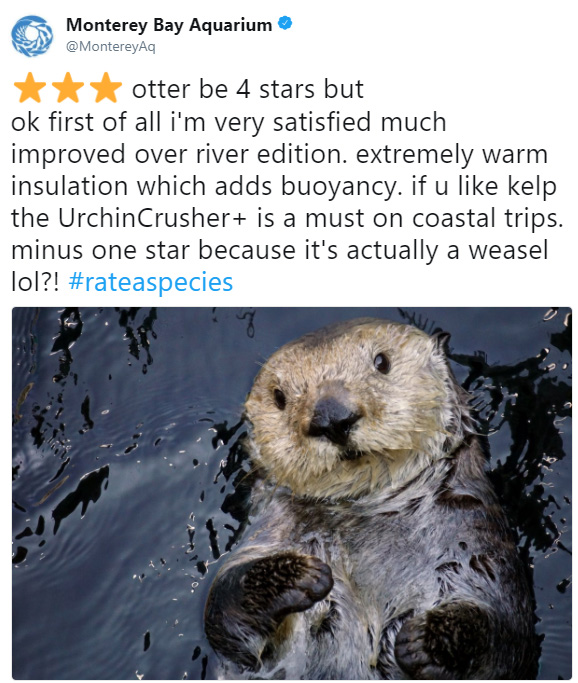 rate a species amazon funny reviews animals