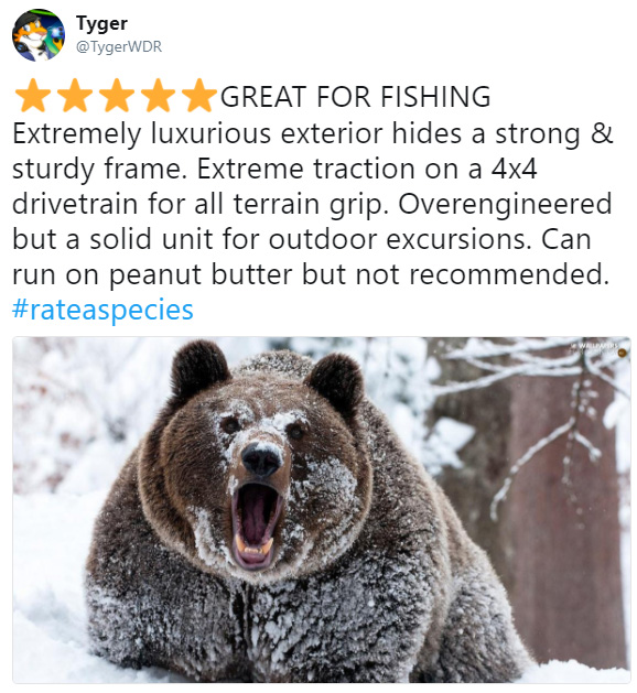 rate a species amazon funny reviews animals