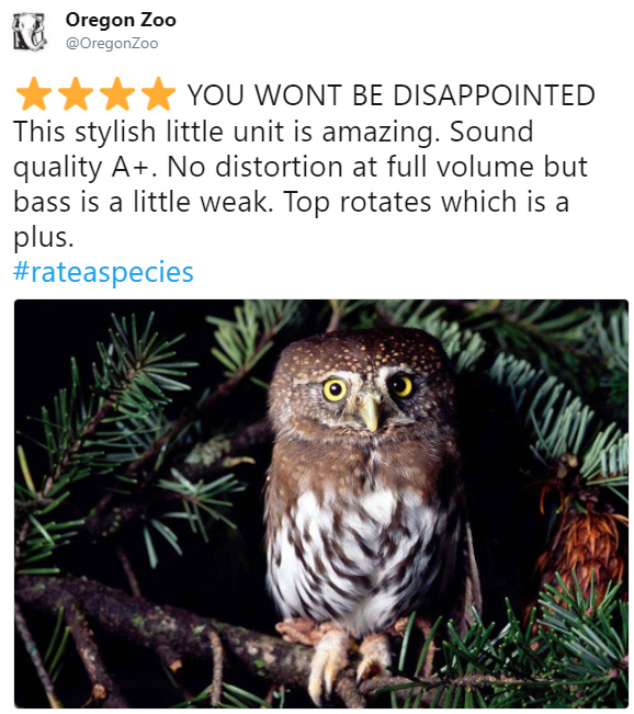 rate a species amazon funny reviews animals