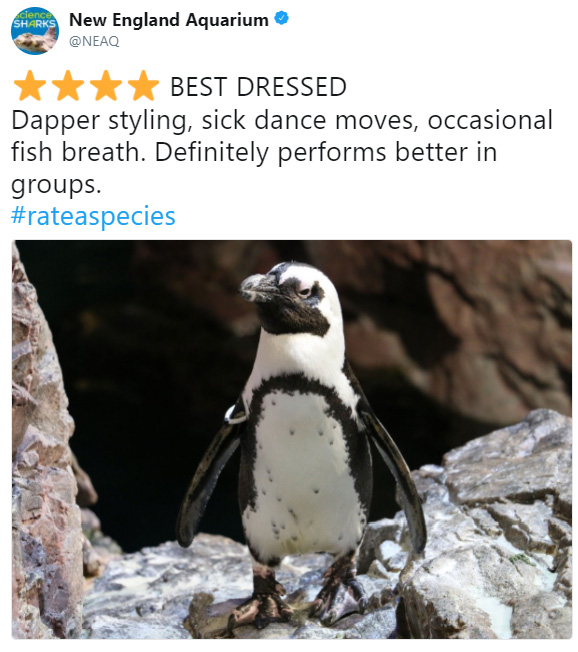 rate a species amazon funny reviews animals