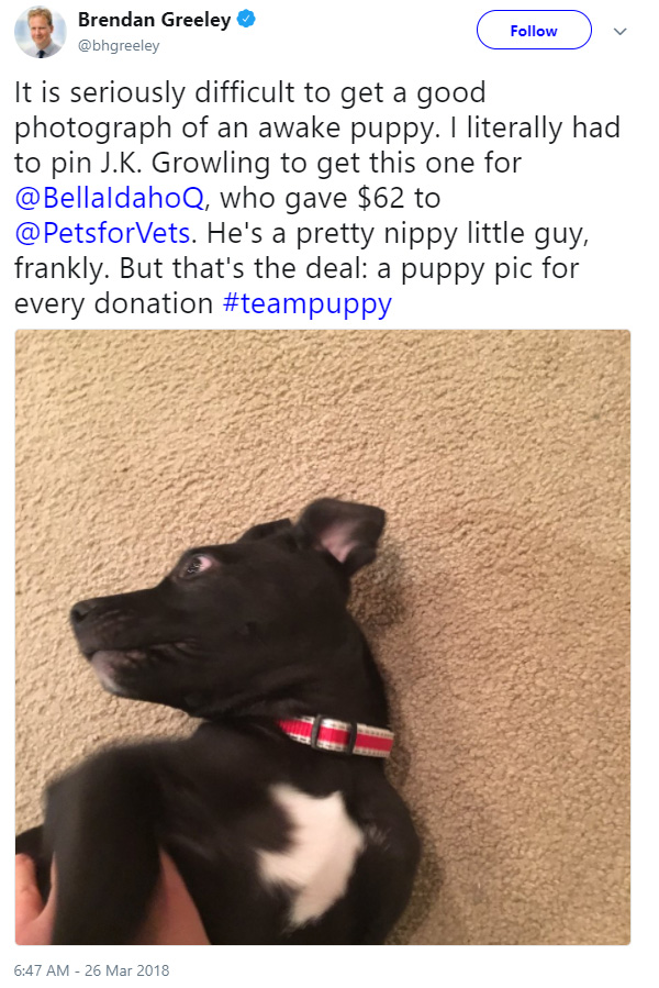 clever daughter gets puppy and raises money for shelter