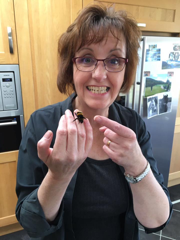 woman pet bumble bee