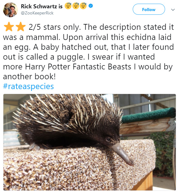 rate a species amazon funny reviews animals