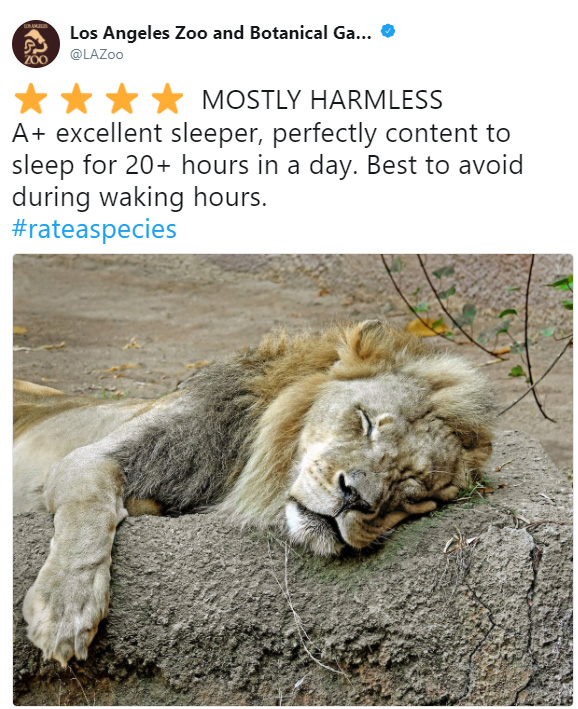 rate a species amazon funny reviews animals