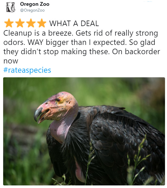 rate a species amazon funny reviews animals