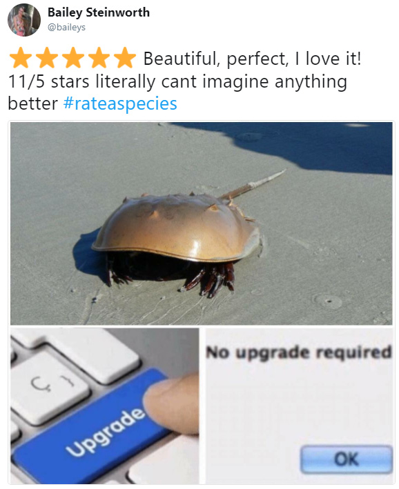 rate a species amazon funny reviews animals