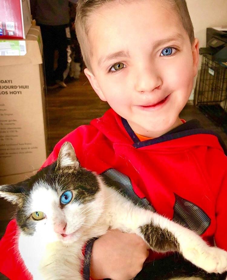 cat and boy with rare eyes cleft lip