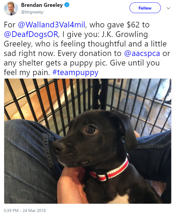 clever daughter gets puppy and raises money for shelter
