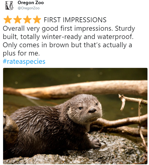 rate a species amazon funny reviews animals