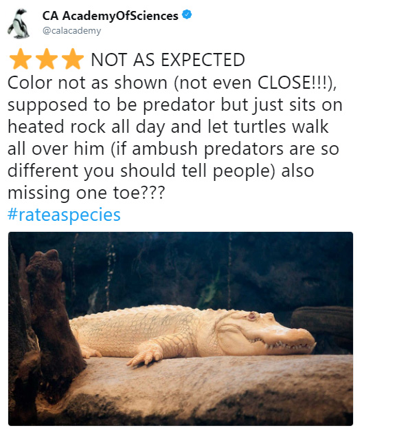 rate a species amazon funny reviews animals