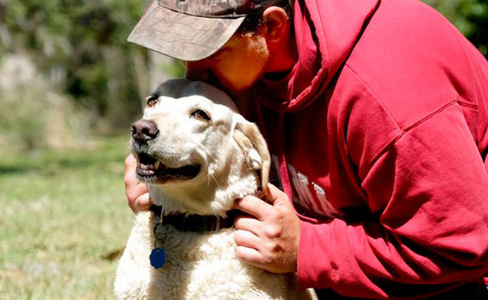 dog saves man from river