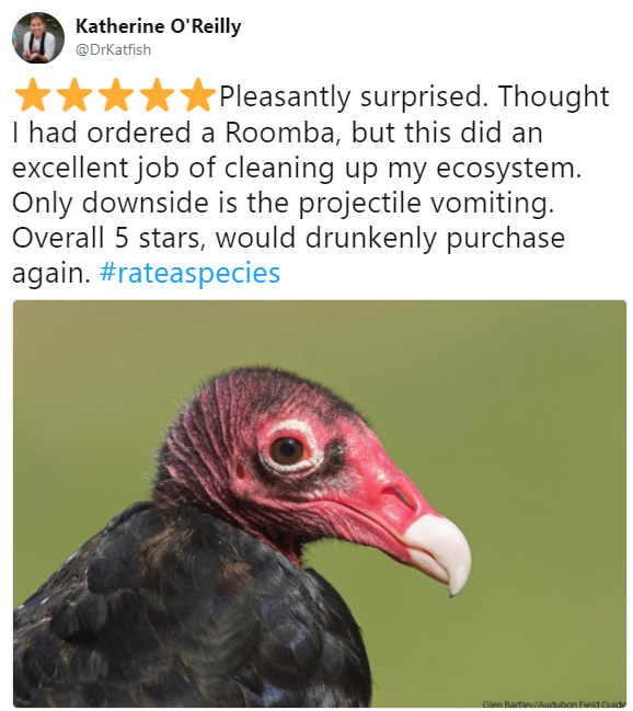 rate a species amazon funny reviews animals