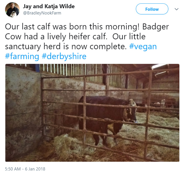 farmer goes vegan good news