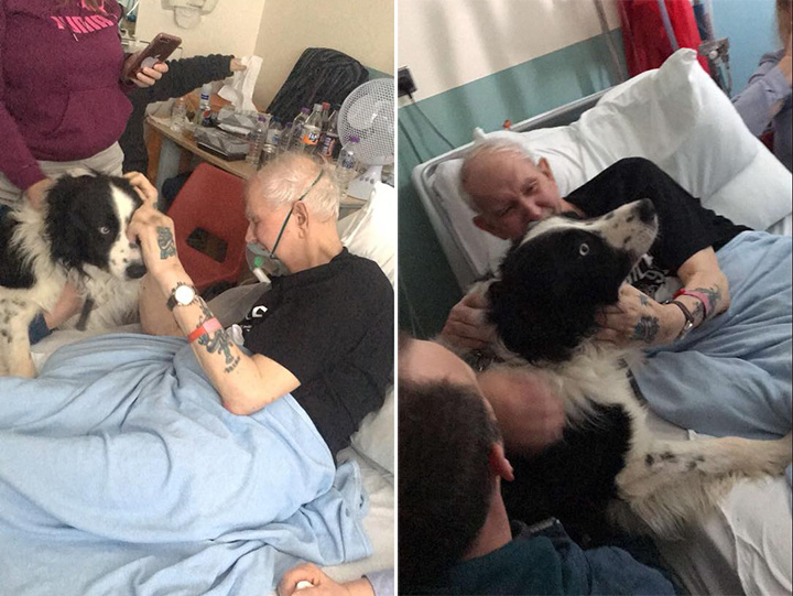 dying man sees dog in hospital good news