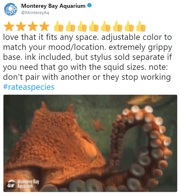 rate a species amazon funny reviews animals