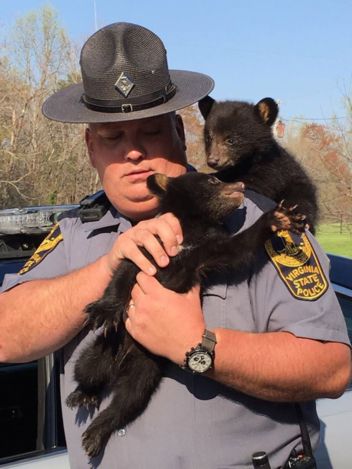 trooper rescues bear cubs