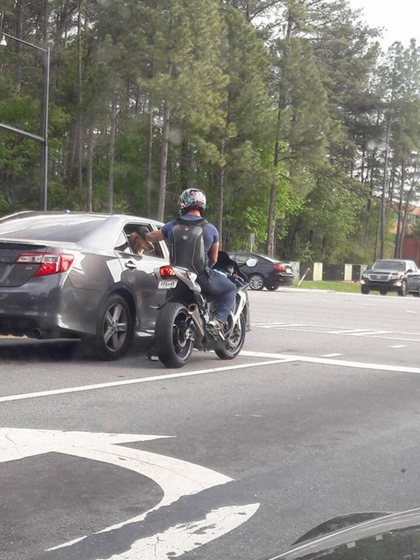 biker pets dog at traffic light