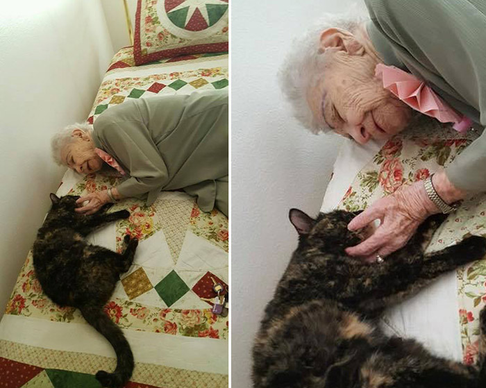 woman surprised with cat 103 birthday