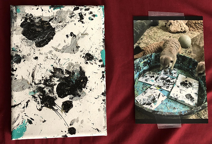 zoo sells paintings made by the animals