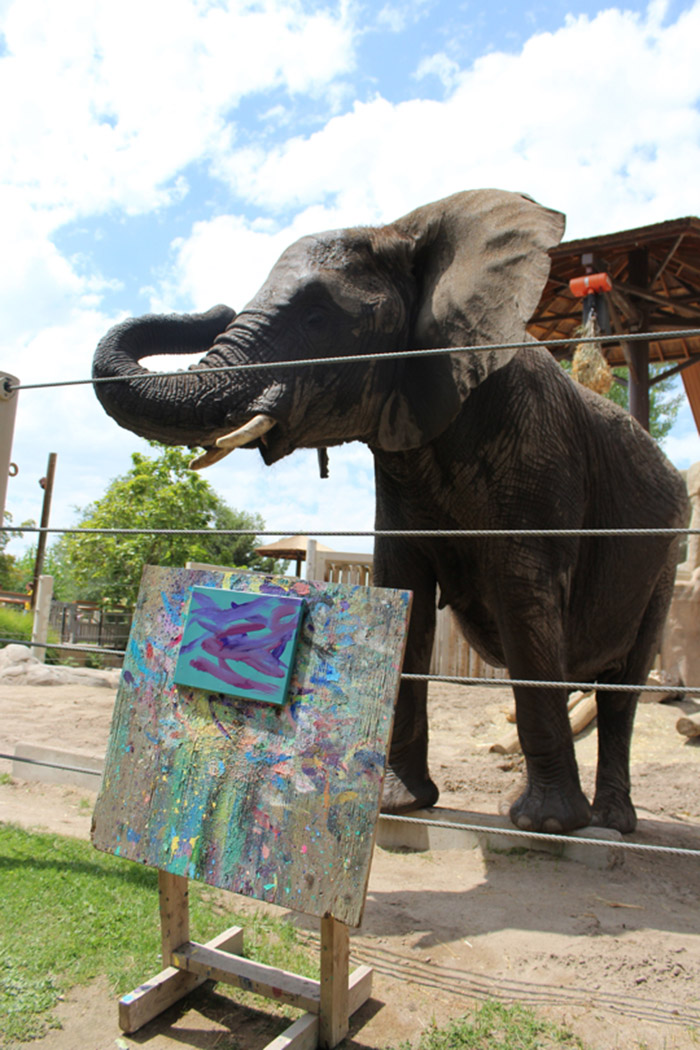 zoo sells paintings made by the animals