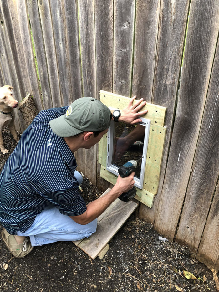 dog door in fence for best friends