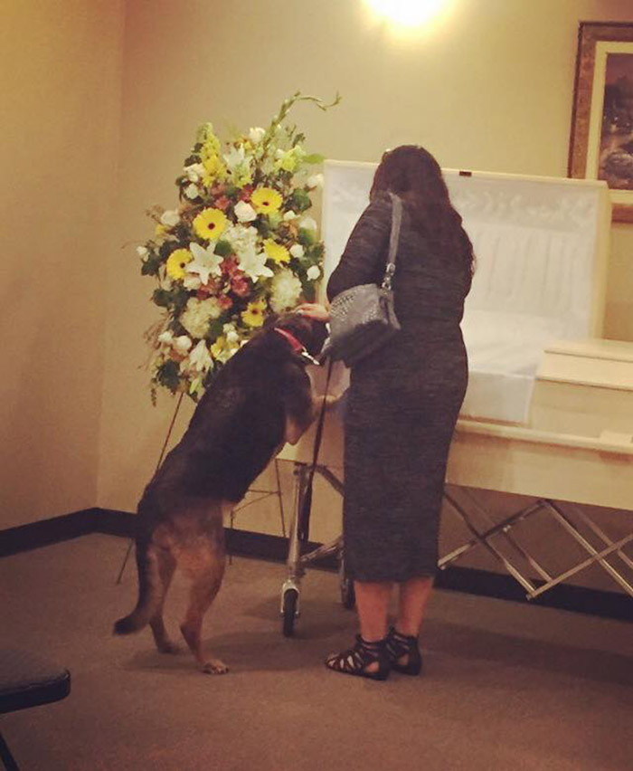 dog attends funeral final goodbye to best friend