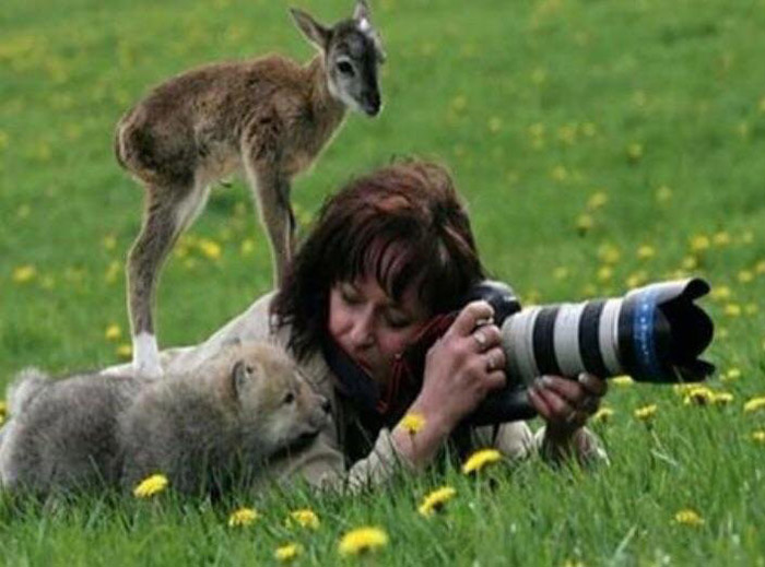 baby animals in wild