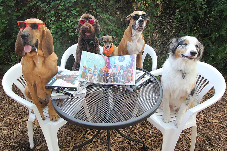 doggie daycare selfie and squad photos