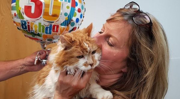 The World's Oldest Cat Just Celebrated His 30th Birthday