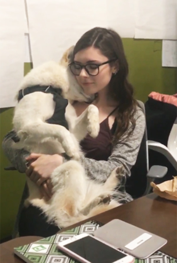 dog with intern at work