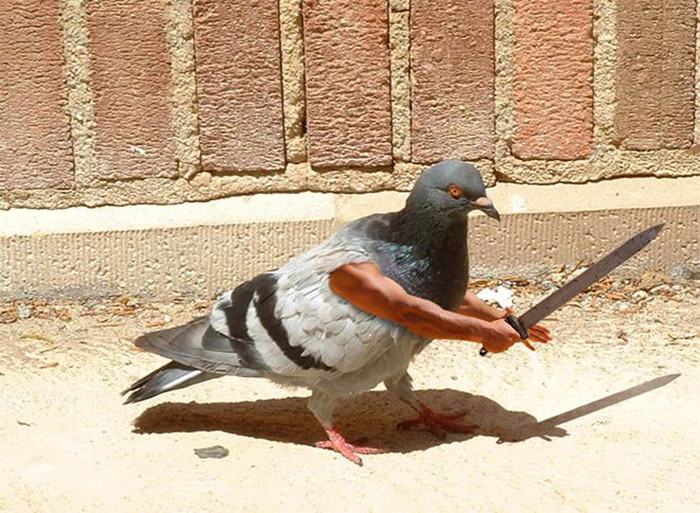 birds with human arms